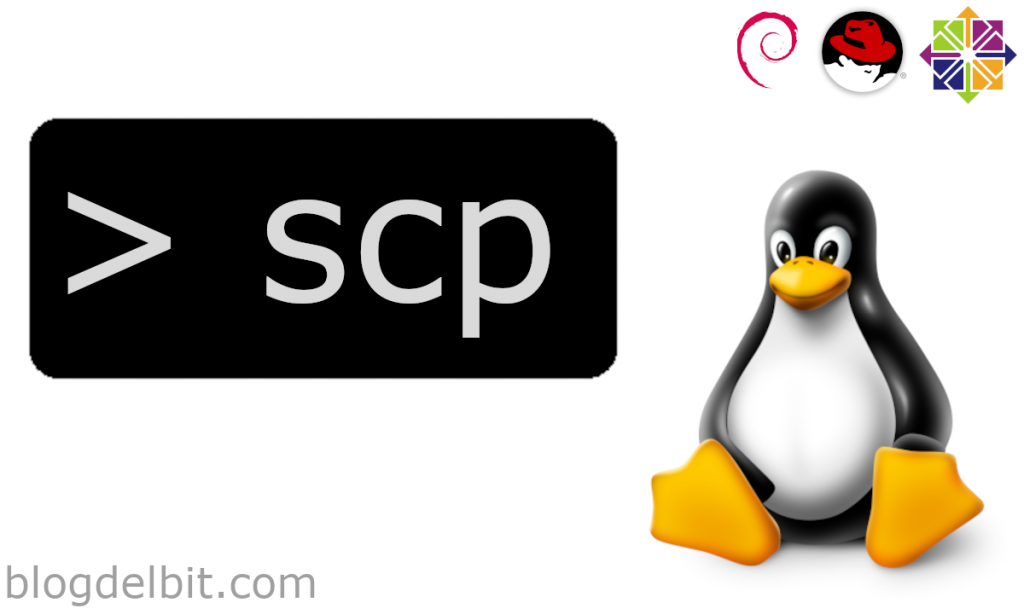 Scp linux не работает